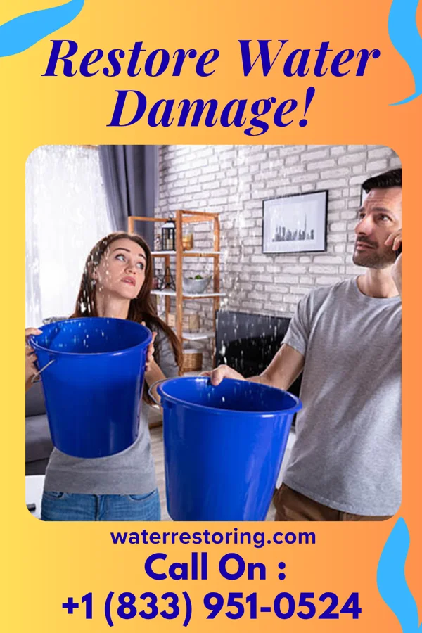 water restoration First Water Removal LLC Sullivan